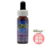  красный дерево FES цветок essence плита o яркий 