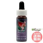  алый fliti Rally FES цветок essence плита o яркий 