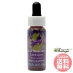  высокий mountain la-kspa-FES цветок essence плита o яркий 