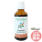 ローズマリー Romanin ジェモセラピー シングルジェモエッセンス フラワーエッセンス