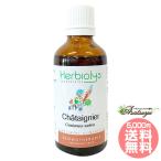 ヨーロッパグリ Chataignier ジェモセラピー シングルジェモエッセンス フラワーエッセンス