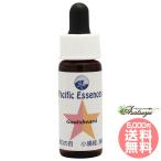 go-tsu Bear -do Pacific essence цветок essence комплект 1