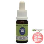  Grand Dink OP ntiakorutePHI essence kaktas кактус essence glaun DIN g