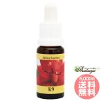 K9korutePHI essence Africa n&amp; kana Lee Islay ndo essence цветок essence 