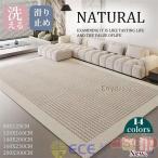 赤字覚悟!カーペット 洗える 四季 ラグ 夏用 毛なし 北欧 オールシーズン シャギーラグ ウォッシャブル リビング マット 長方形 四角 滑り止め付き おしゃれ