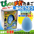 Yahoo! Yahoo!ショッピング(ヤフー ショッピング)びっくりメガたまご 海のどうぶつ No.206-656 株式会社ファースト・アロー おもちゃ 海のたまご 卵から生まれて大きくなる人形 ms222