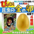 Yahoo! Yahoo!ショッピング(ヤフー ショッピング)びっくり昆虫の金の卵 カブトムシ＆クワガタ No.206-670 株式会社ファースト・アロー おもちゃ 卵から生まれて大きくなる人形 ms223
