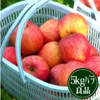  Toyota. .. яблоко 5kg роза .. хорошая вещь солнечный .. яблоко Yamagata из прямая поставка от производителя 