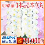 【胡蝶蘭】★胡蝶蘭3本立ち★20,000円(税別)/胡蝶蘭/お祝い/お供え/送料無料/誕生日/花/ギフト【四国・中国地方※送料1,000円かかります※】