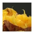 安納芋★★種子島★★5ｋｇ★ねっとり甘い