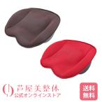 芦屋美整体 骨盤スリムスタイルクッション　テレワーク　筋トレ　骨盤　骨盤サポート 骨盤スリム　クッション　座りながら　骨盤痛