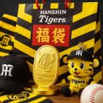 【福袋】阪神タイガース 2003年星野監督：阪神タイガース 優勝記念グッズ 公式福袋 正規ライセンス品 写真なし中身おまかせ レア福袋　（A-TYPE）CP5