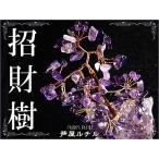 Yahoo! Yahoo!ショッピング(ヤフー ショッピング)★完売御礼★アメジストの木/招財樹
