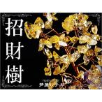 Yahoo! Yahoo!ショッピング(ヤフー ショッピング)★完売御礼★シトリンの木/招財樹