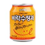 パルドシナモンドリンク(238ml缶)