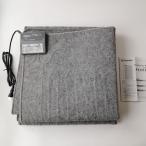 ホットカーペット IHC-10-H 1畳 アイリスオーヤマ ダニ退治機能付 176×88cm グレーUSED品