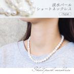 ネックレス淡水トレンド人気淡水パー...