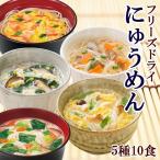 アマノフーズ フリーズドライ 国産 手延べ にゅうめん お試し 5種類10食セット