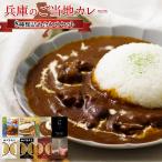 カレー詰め合わせセット レトルトカレー 兵庫県ご当地カレー8種 レトルト食品 グルメ ポイント消化 利用