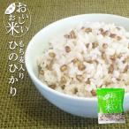 ¹ñ»º ̵ÀöÊÆ ¤â¤ÁÇþÆþ¤ê¤Ò¤Î¤Ò¤«¤ê 150g °ì¹çʬ ¥Ù¥¹¥È¥¢¥á¥Ë¥Æ¥£