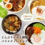 ショッピング牛丼 牛丼 ルーロー飯 麻婆豆腐 丼の具６種バラエティー詰め合わせ ギフトセット 食品