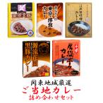 関東地域厳選 ご当地カレー 5種類10食詰め合わせセット レトルトカレー レトルト食品