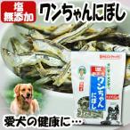 犬用無添加おやつ 塩無添加 ワンちゃんにぼし(煮干し) お徳用 1kg 食塩不使用おつまみ サカモト