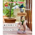 ソーラーライト LED ガーデンファニチャー 置物 ガーデンライト リス かわいい ウェルカムボード AMC【送料無料】RLS