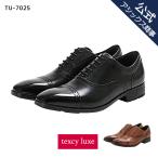texcy luxe(テクシーリュクス) 内羽根式ストレートチップ メダリオン 3E相当 革靴 ビジネスシューズ men's 24.0-28.0,29.0 TU-7025