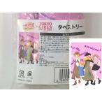 プリキュア TGC'20 A/W 東京ガールズコレクション B0サイズ タペストリー 輝木 ほまれ & 愛崎 えみる & 平光 ひなた & 天宮 えれな