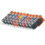 キャノン PGI-2 互換インク10色組 pgi2m