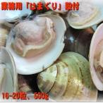 . имеется Boyle. ...500g(16~20 шарик ). ... хамагури моллюск 