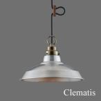 後藤照明 ポイント利用 1灯 ペンダントライト クレマチス GLF-3405 真鍮ブロンズメッキ