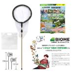 i кимоно исследование .. сеть 