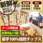 菊芋ポリポリ 40g入り お得3袋セット スイーツ感覚 お菓子 菊芋 チップス イヌリン 水溶性食物繊維 国産 砂糖 塩 農薬不使用