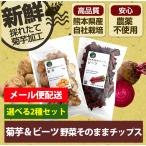 Yahoo! Yahoo!ショッピング(ヤフー ショッピング)菊芋チップス ビーツチップス 選べる2袋 セット レシピ付き 国産 乾燥 チップ 国産 農薬不使用 健康 スッキリ