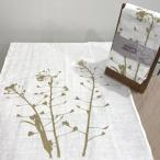 Yahoo! Yahoo!ショッピング(ヤフー ショッピング)Dorothee Lehnen/ドロシーレーン・capsella リネンキッチンクロス