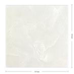 KYタイル / カルタゴ 200角平 P20-CRT40 �