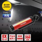 アストロプロダクツ 充電式 ワークライト WL919 | 照明 電気 非常用 夜間作業