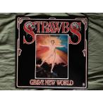 美盤 1972年 米国盤 ストローブス Strawbs LPレコード グレイヴ・ニュー・ワールド Grave New World Folk Dave Cousins
