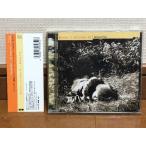 Yahoo! Yahoo!ショッピング(ヤフー ショッピング)美盤 ボニー・ピンク Bonnie Pink 1999年 CD ボニーズ・キッチン #1 Bonnie's Kitchen #1 国内盤 帯付Japanese pop