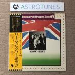 美盤 ハーマンズ・ハーミッツ Herman's Hermits LPレコード Remember the Liverpool Sound 4 国内盤 帯付 Rock リバプール