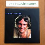 ジェームス・テイラー James Taylor 1981年 LPレコード ダディーズ・スマイル Dad Loves His Work 国内盤 Folk