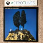 美盤  Elvis Costello The Attractions 1984年 LPレコード Goodbye Cruel World 国内盤 Punk / New wave: ASTROTUNES a003125