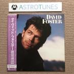 美盤 美ジャケ デイヴィッド・フォスター David Foster 1986年 LPレコード 名盤 国内盤 帯付 Lee Ritenour Michael Laundau