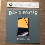 美盤 デイヴィッド・フォスター David Foster 1985年 LPレコード 君にすべてを The Best Of Me 国内盤 Jay Gradon Ricjhard Marx