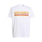 DSQUARED2ディースクエアードTシャツトップスメンズT-shirts...