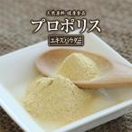 プロポリスエキスパウダー(50g)天然