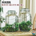 貯蔵びん 1.5L 2L 3L 4L 5L 保存容器 ス�