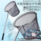 タモ網 玉網 タモ網 ランディングネット伸縮式 すくい網 丸形網 折りたたみ式 調節可能 軽量 釣り用品 漁具 淡水 海水適用 全魚種対応 シルバー 長さ3M